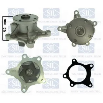 Pompe à eau Saleri SIL PA1517