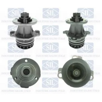 Pompe à eau Saleri SIL PA1524