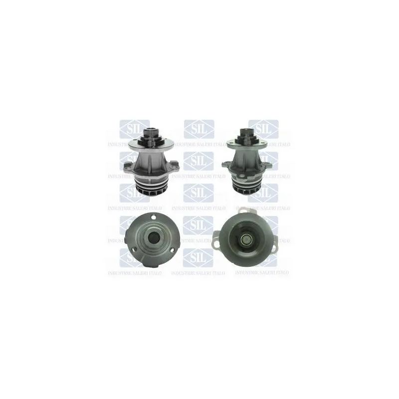 Pompe à eau Saleri SIL PA1524