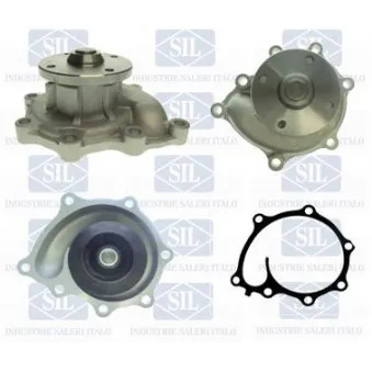 Pompe à eau Saleri SIL PA1528