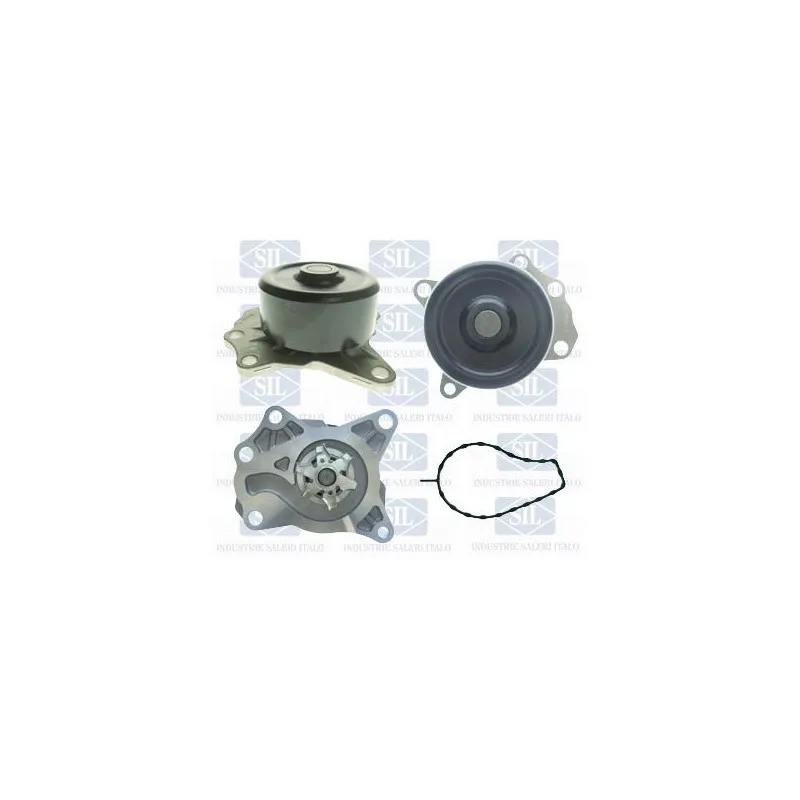 Pompe à eau Saleri SIL PA1530