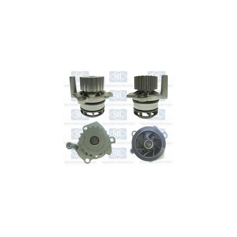 Pompe à eau Saleri SIL PA1538