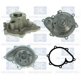 Pompe à eau Saleri SIL PA1543
