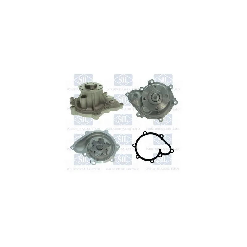 Pompe à eau Saleri SIL PA1543