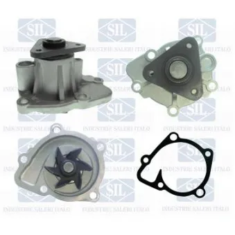 Pompe à eau Saleri SIL PA1555