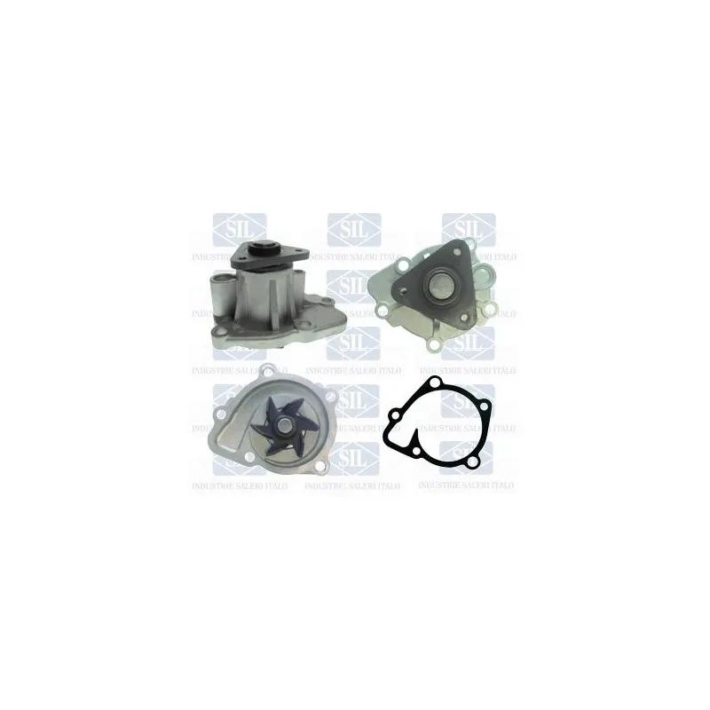 Pompe à eau Saleri SIL PA1555