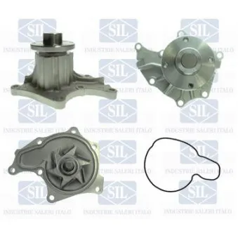 Pompe à eau Saleri SIL PA1556
