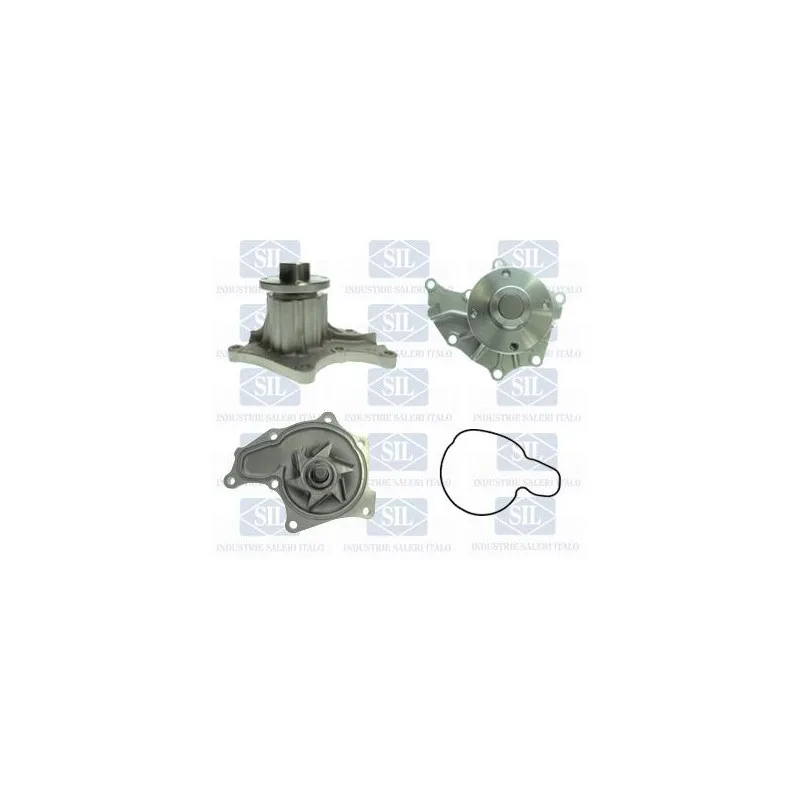 Pompe à eau Saleri SIL PA1556