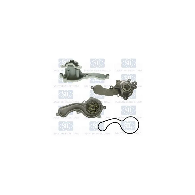 Pompe à eau Saleri SIL PA1558