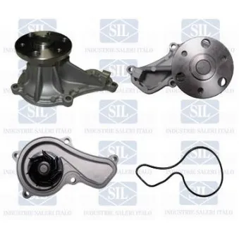Pompe à eau Saleri SIL PA1560