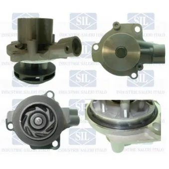 Pompe à eau Saleri SIL PA1566