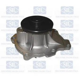 Pompe à eau Saleri SIL PA1571
