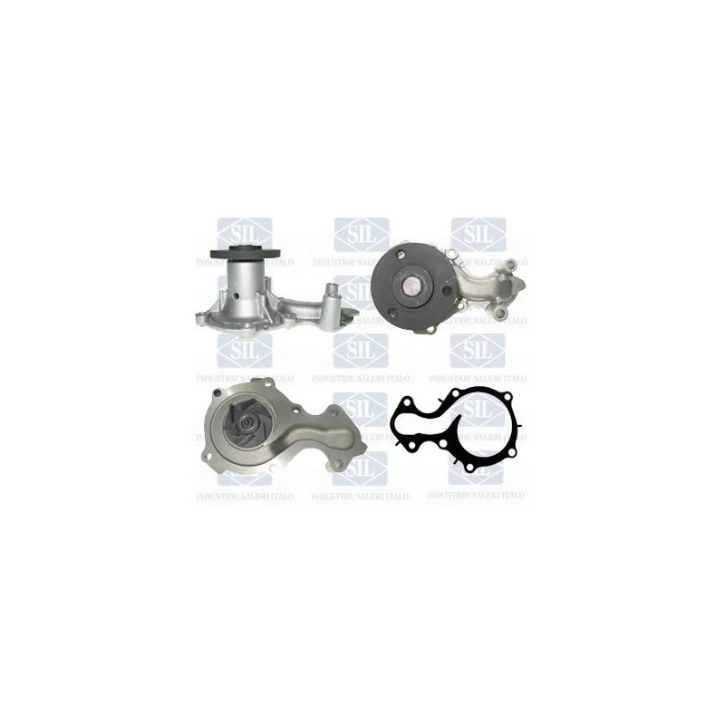 Pompe à eau Saleri SIL PA1584