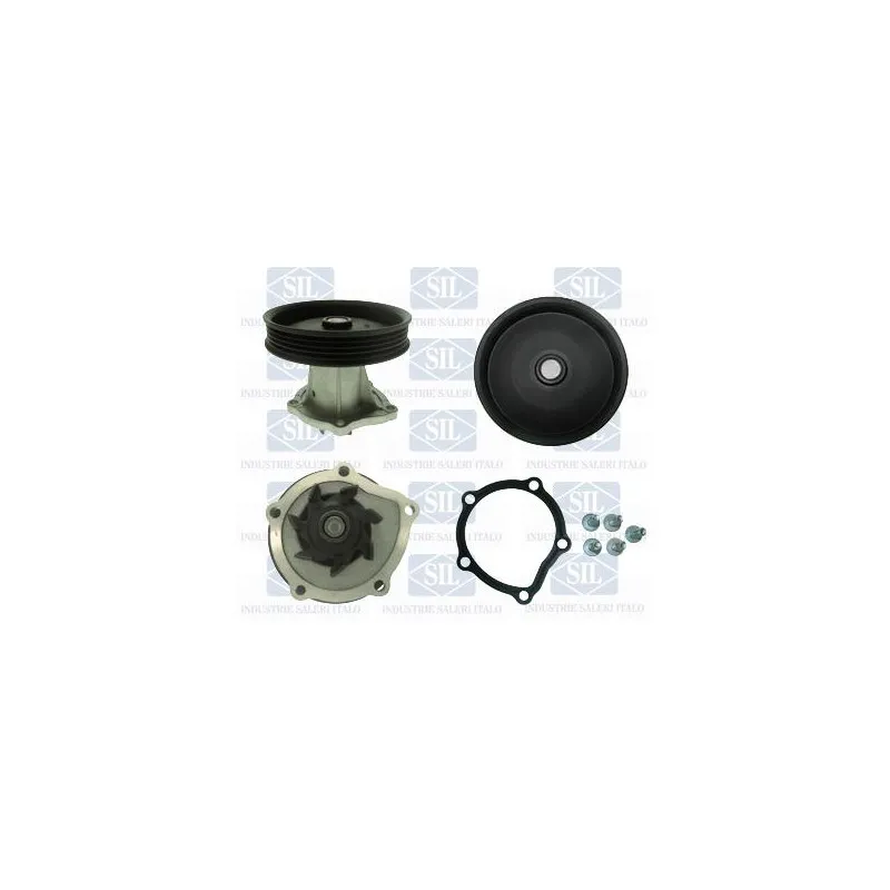 Pompe à eau Saleri SIL PA1587
