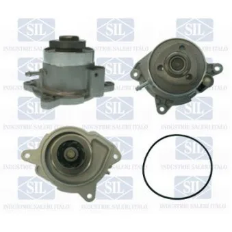 Pompe à eau Saleri SIL PA1594
