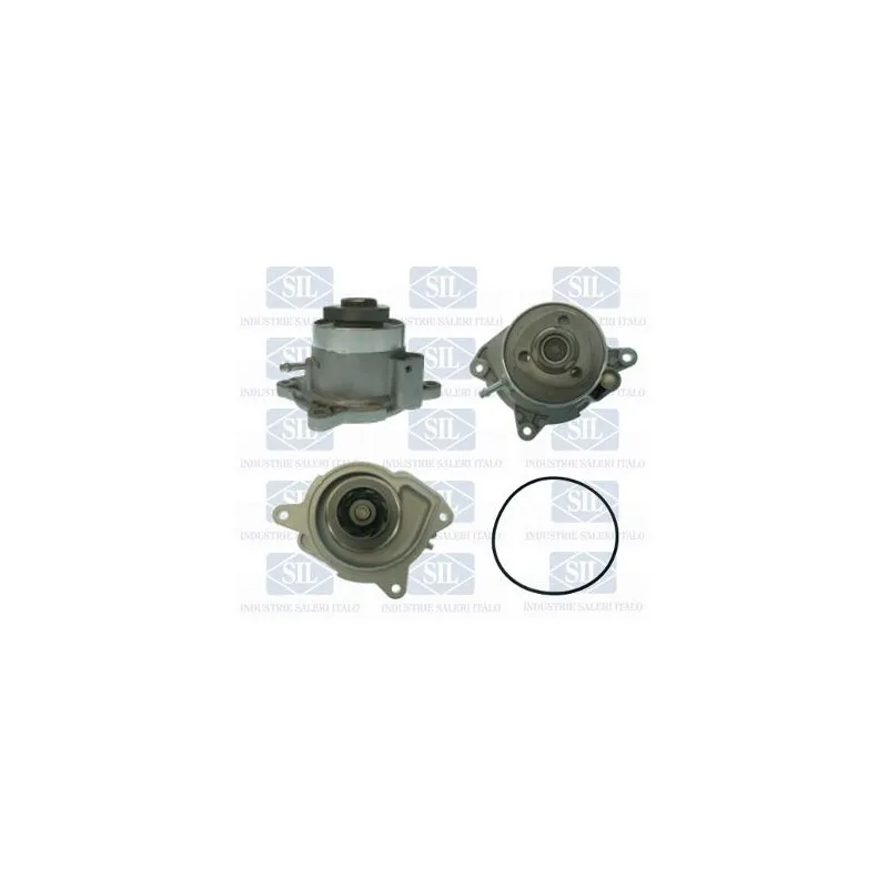 Pompe à eau Saleri SIL PA1594