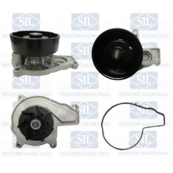 Pompe à eau Saleri SIL PA1598