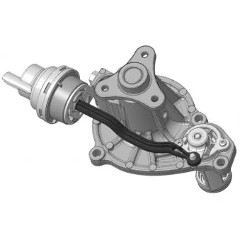 Pompe à eau Saleri SIL PA1629