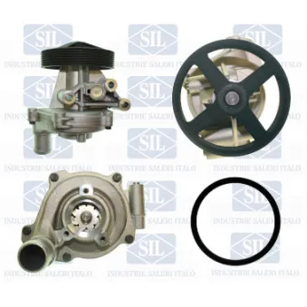 Pompe à eau Saleri SIL PA1643