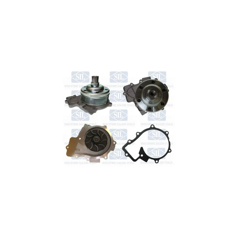 Pompe à eau Saleri SIL PA1653