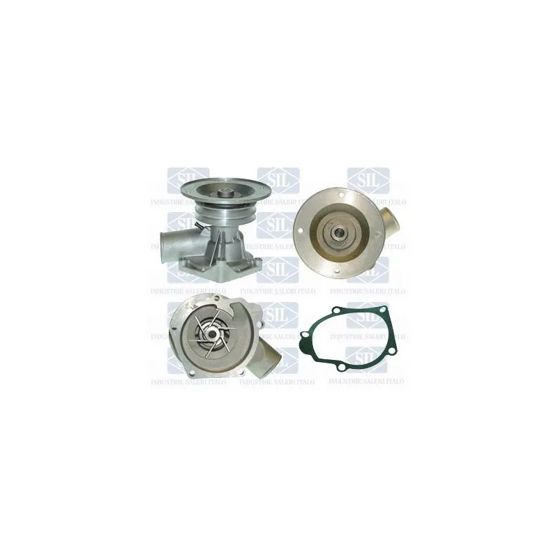Pompe à eau Saleri SIL PA181P