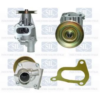 Pompe à eau Saleri SIL PA206P