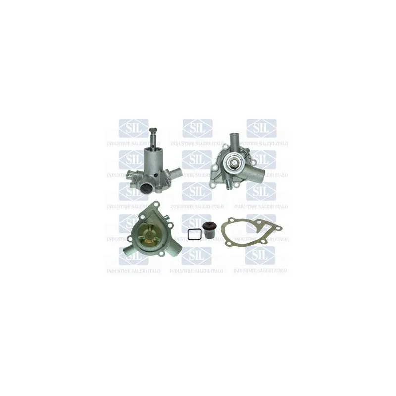 Pompe à eau Saleri SIL PA224