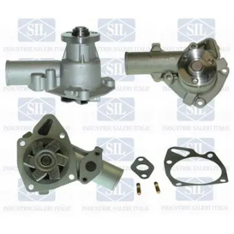 Pompe à eau Saleri SIL PA228