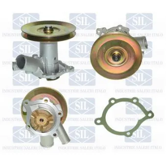Pompe à eau Saleri SIL PA229P