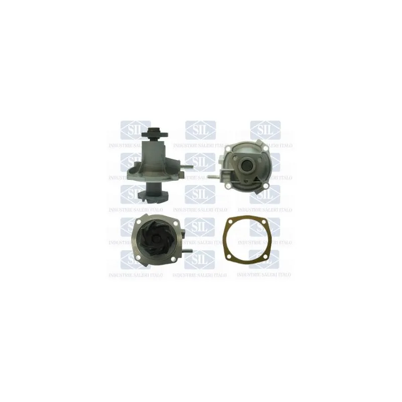 Pompe à eau Saleri SIL PA231