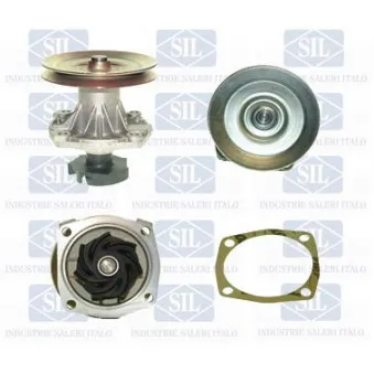 Pompe à eau Saleri SIL PA234P