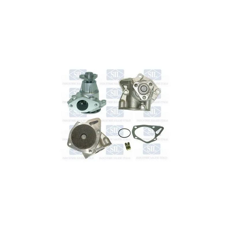 Pompe à eau Saleri SIL PA254
