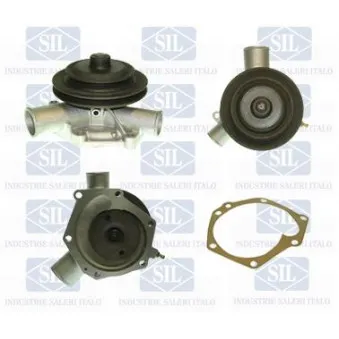 Pompe à eau Saleri SIL PA256P
