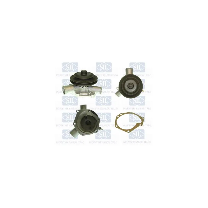 Pompe à eau Saleri SIL PA256P
