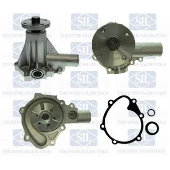 Pompe à eau Saleri SIL PA257