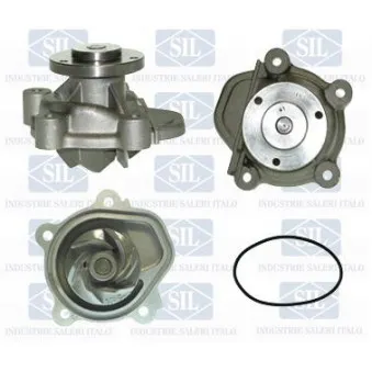 Pompe à eau Saleri SIL