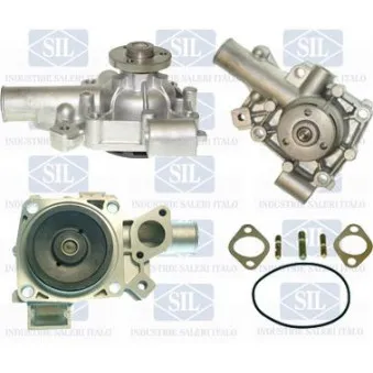 Pompe à eau Saleri SIL PA356