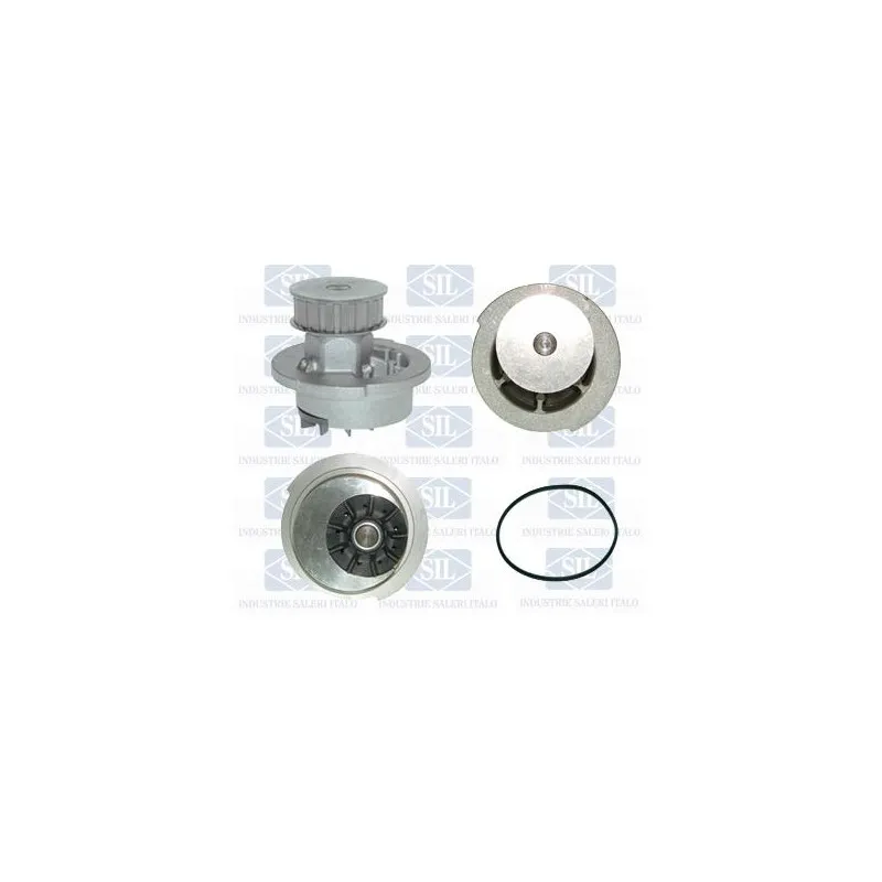 Pompe à eau Saleri SIL PA358P