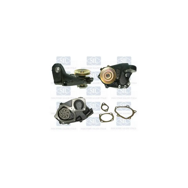 Pompe à eau Saleri SIL PA360P