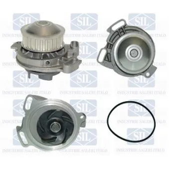 Pompe à eau Saleri SIL PA377P