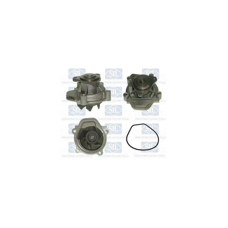 Pompe à eau Saleri SIL PA401