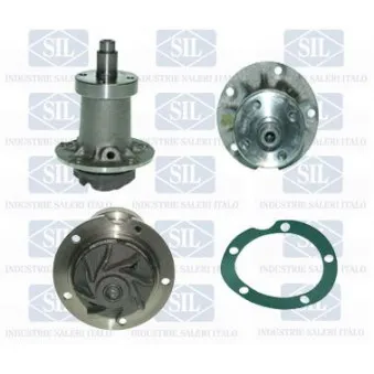 Pompe à eau Saleri SIL PA412