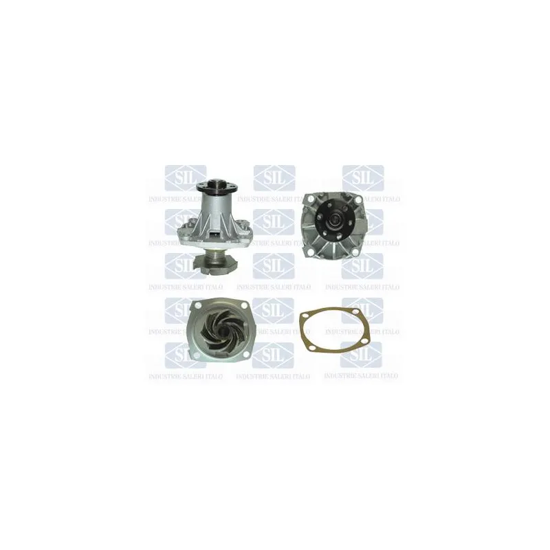 Pompe à eau Saleri SIL PA424