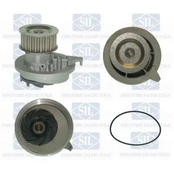 Pompe à eau Saleri SIL PA426P