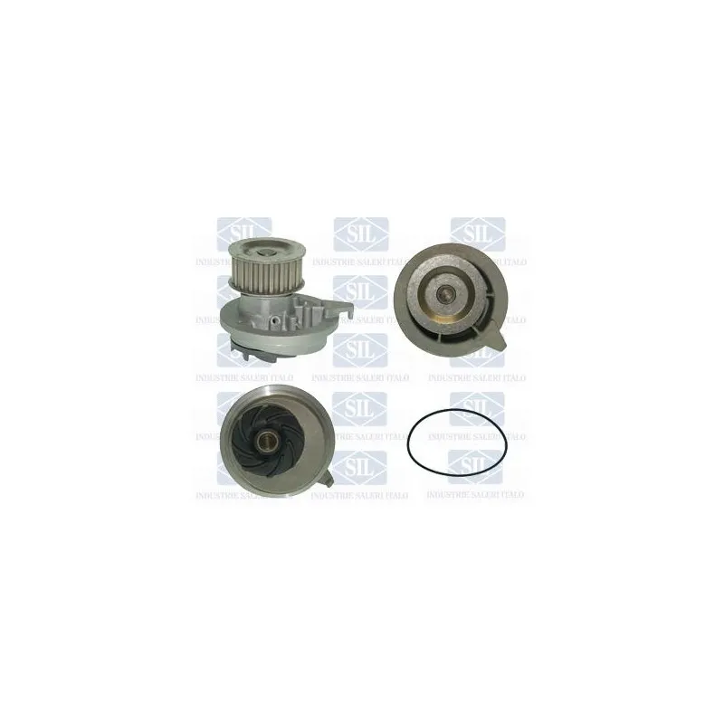 Pompe à eau Saleri SIL PA426P