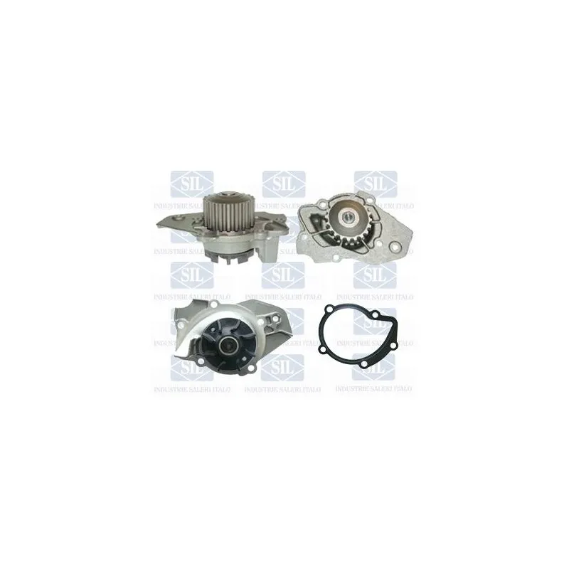 Pompe à eau Saleri SIL PA429P