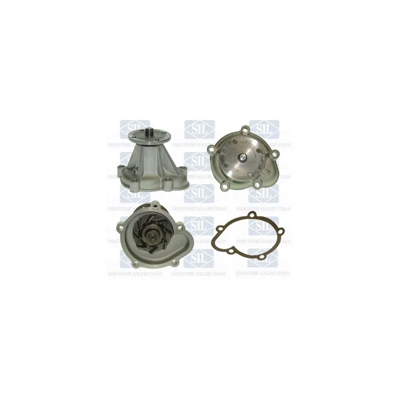 Pompe à eau Saleri SIL PA432