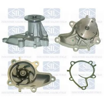 Pompe à eau Saleri SIL PA435
