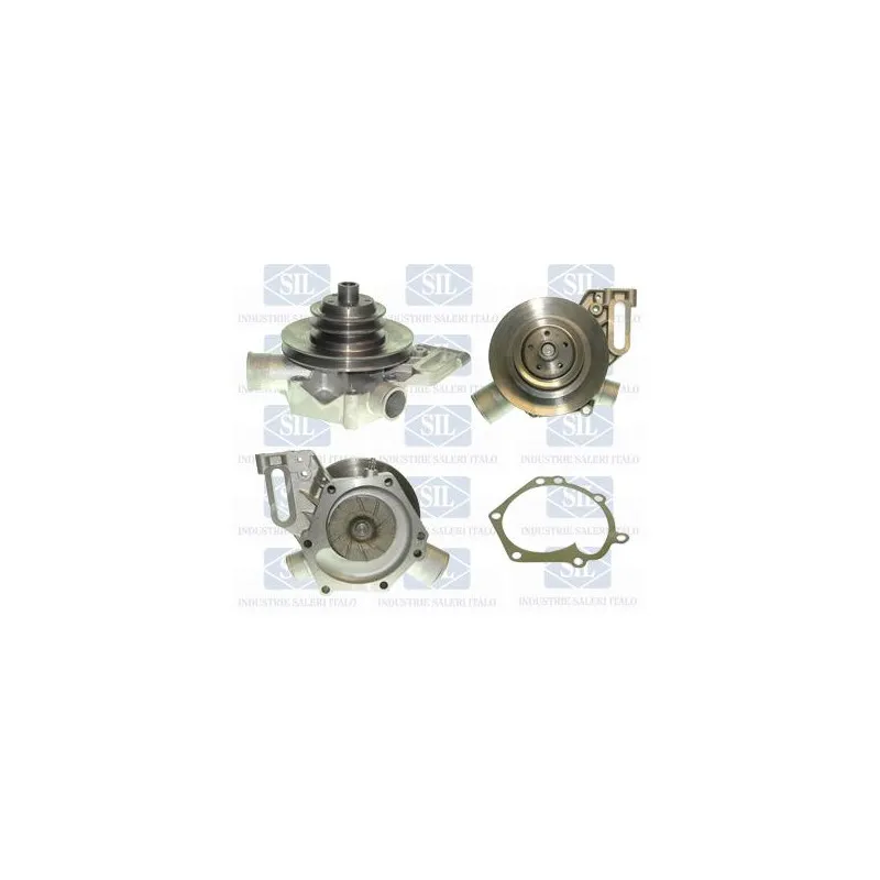 Pompe à eau Saleri SIL PA445P