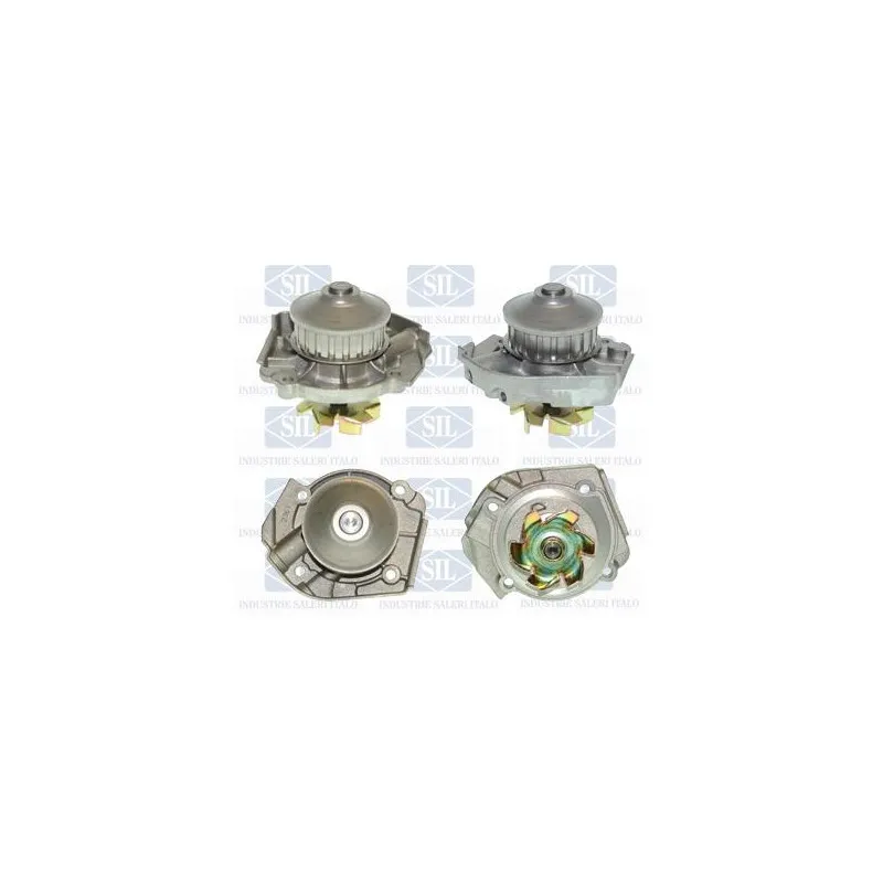 Pompe à eau Saleri SIL PA467A